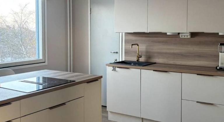 Rental apartment with sauna — photo 4