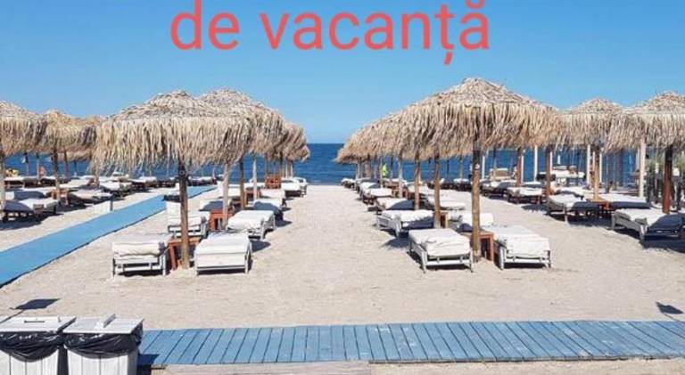 Beautiful rental apartment with patio | Next to the beach | Pets allowed — photo 4