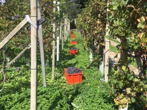foto30