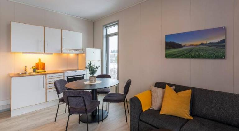 Vikingskipet Hotell — photo 2
