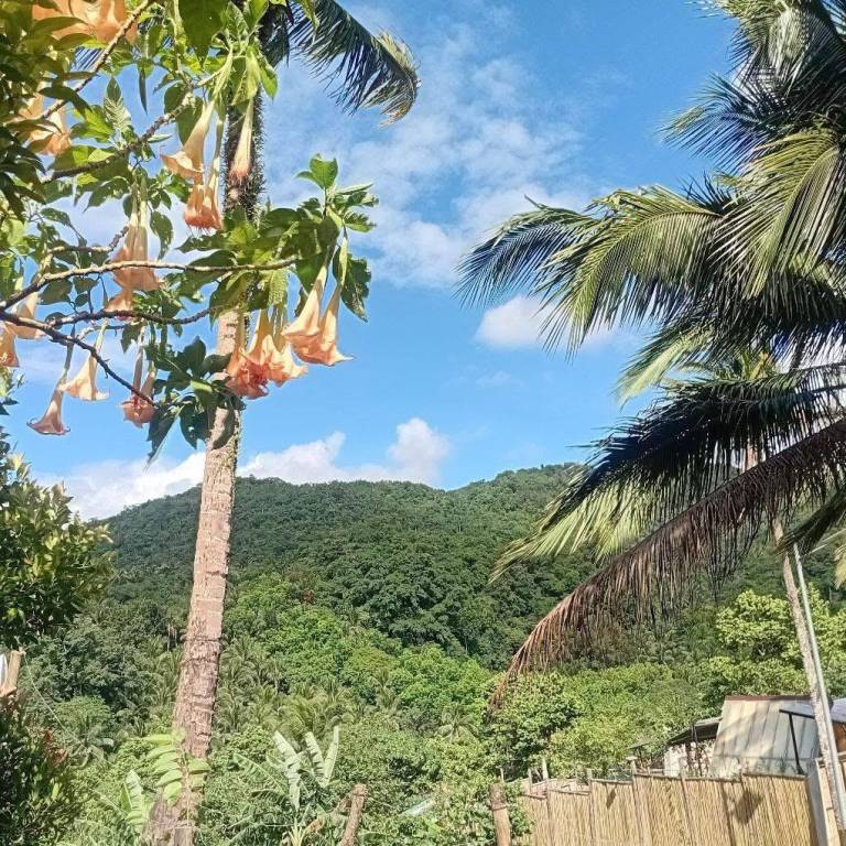 Cabin Daraitan