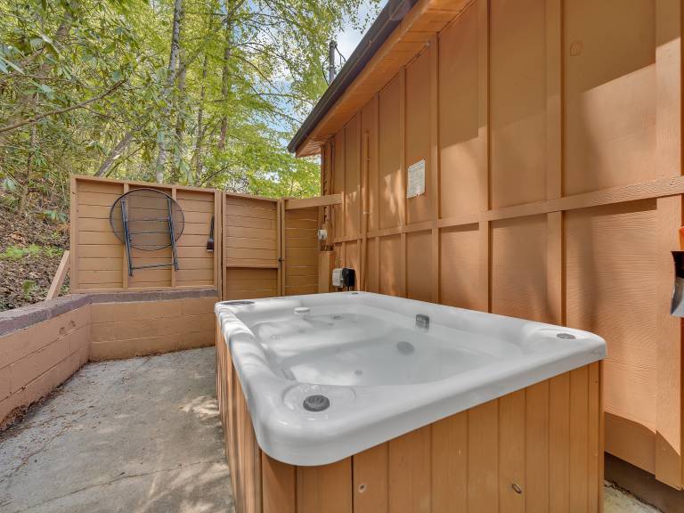 Pet-Friendly Hot Tub Fireplace Game Room — photo 2