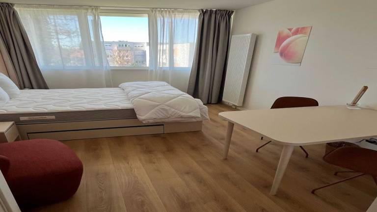 foto7