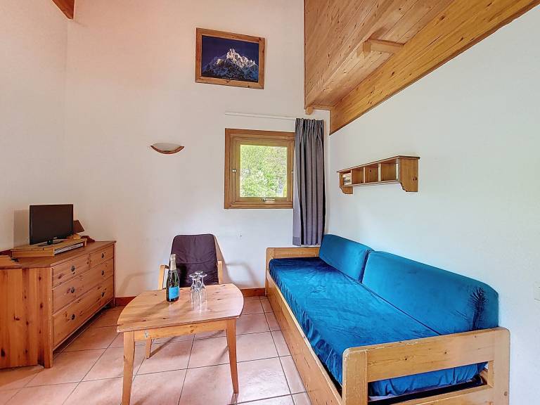 APPARTEMENT PROCHE REMONTEES MECANIQUES - WIFI - MORZINE - 7 PERSONNES - JOUX 7 — photo 2