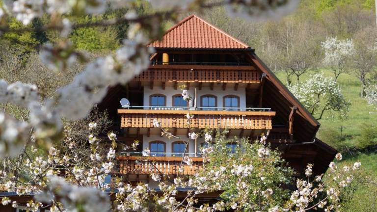 Ferienwohnung Bad Peterstal-Griesbach