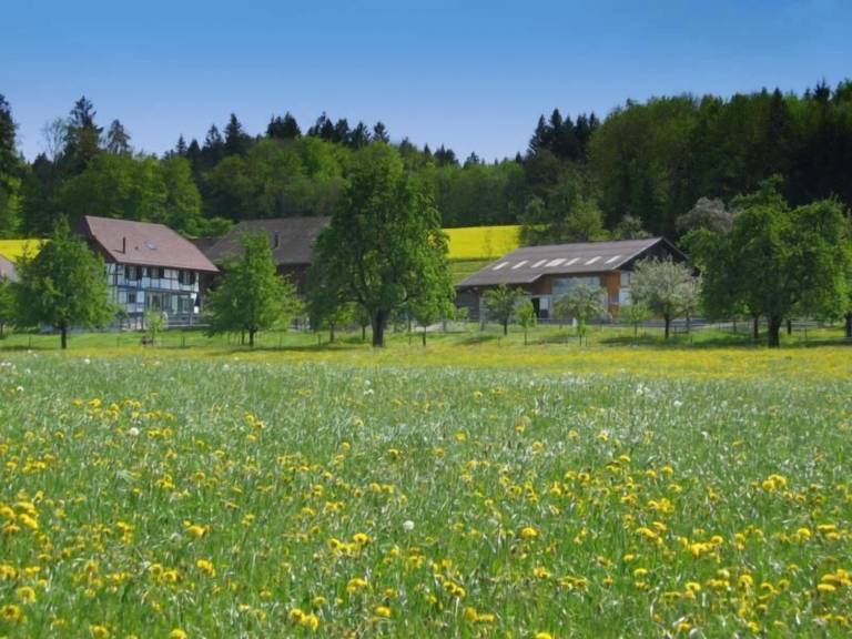 Bauernhof Nussbaumen