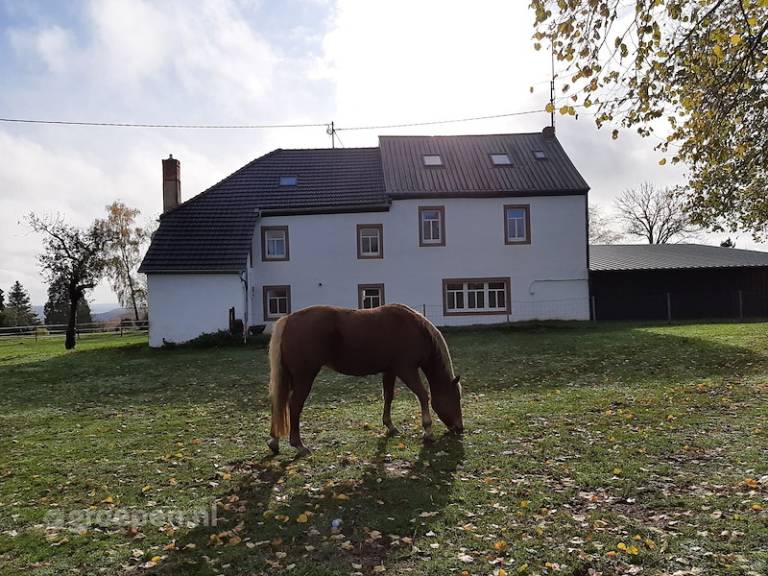 Fully equipped vacation home with patio | Pets are welcome — photo 3