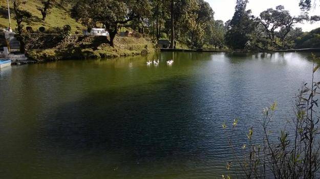 foto14