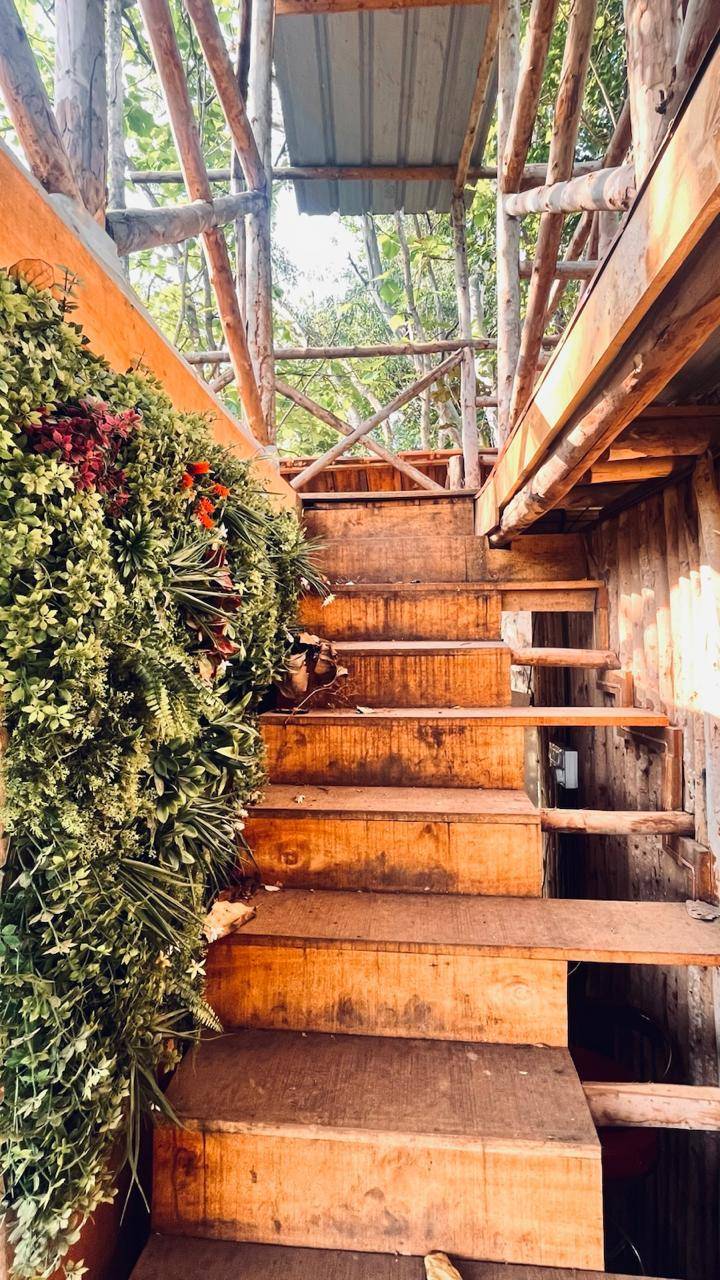 foto47