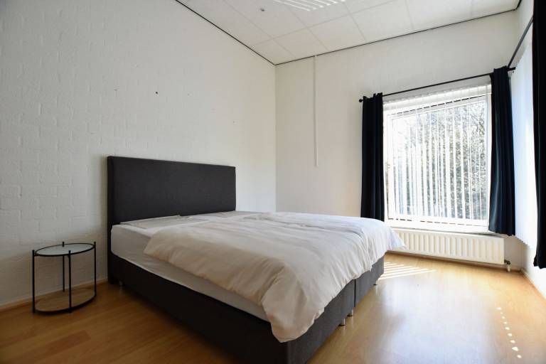 foto2