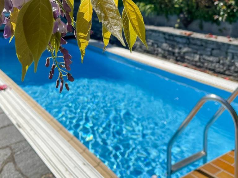 Ferienwohnung Brissago TI