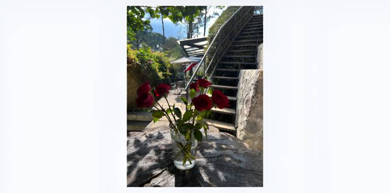 foto45