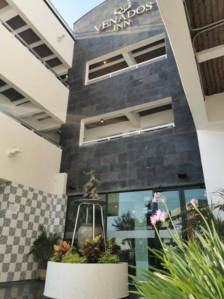 Venados Inn — photo 2