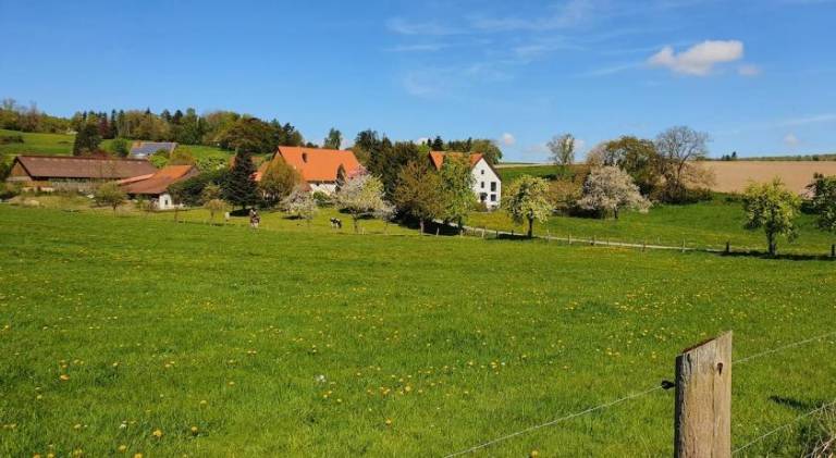 100 m&sup2; Ferienwohnung
