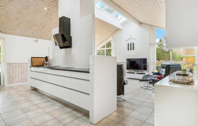 Ferienhaus  Skiveren