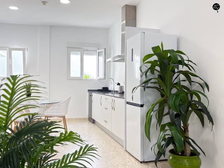 Rental apartment | Close to Cádiz Cathedral — photo 4
