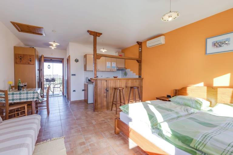 Apartma Puče