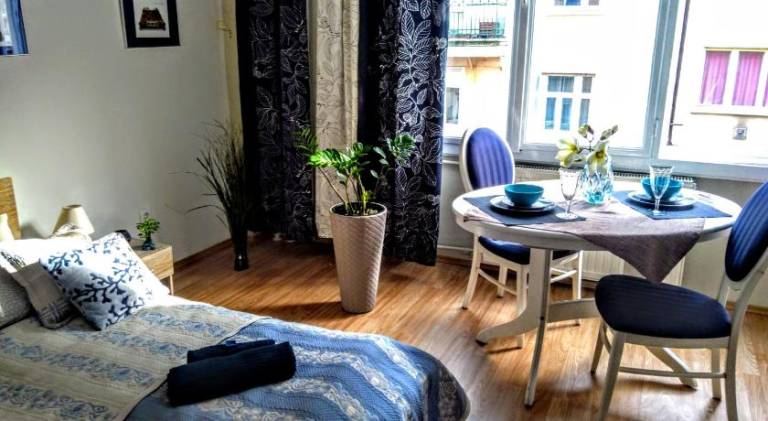 Rental apartment with yard in Budapest