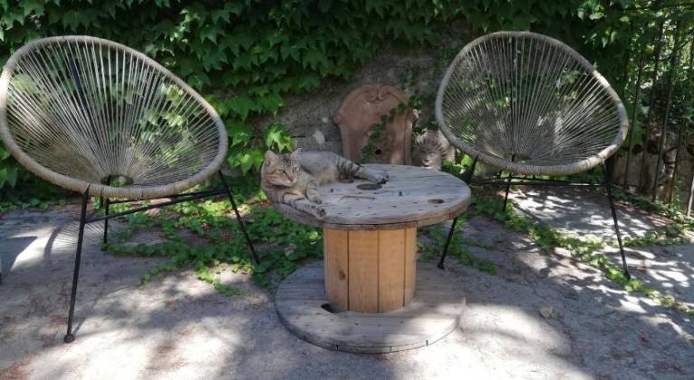 foto18