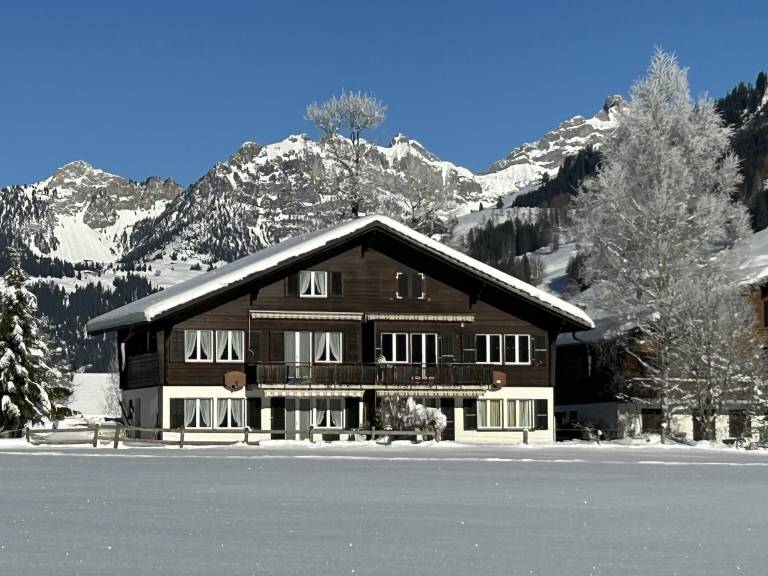 Ferienwohnung Lenk