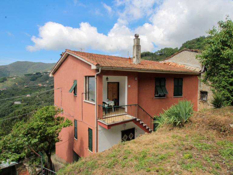 foto14