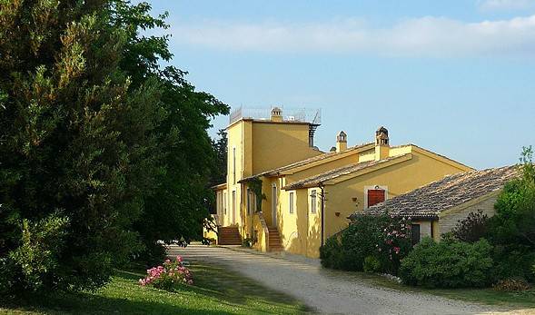 foto1