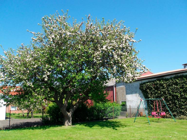 foto15