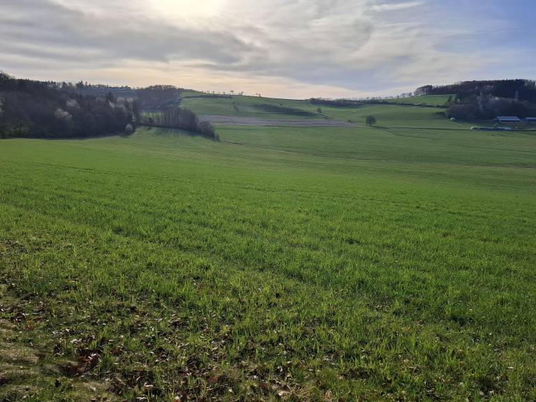 foto10