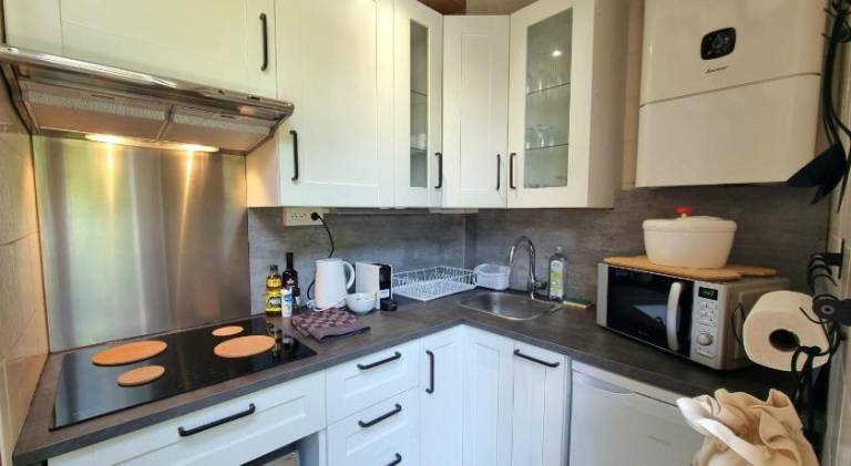 Rental apartment with yard & patio — photo 4