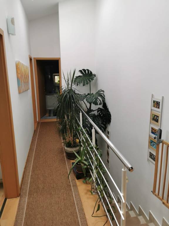 foto9