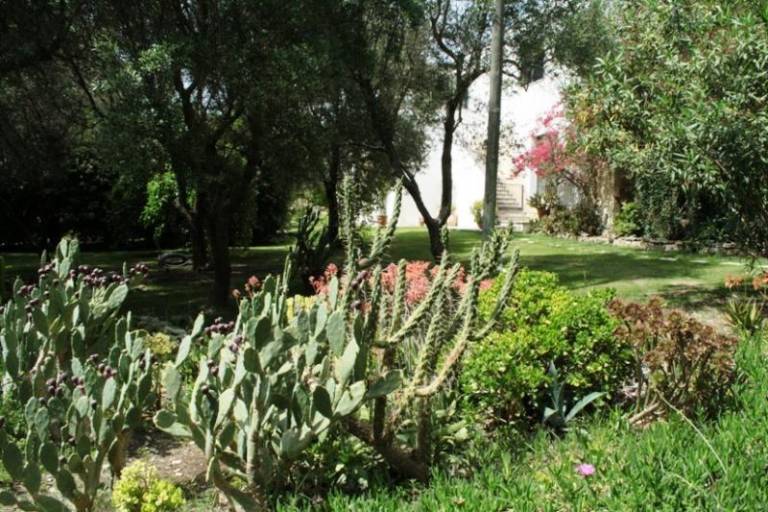 foto13