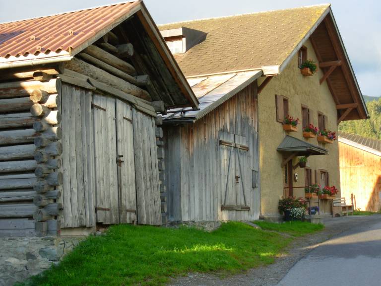 foto1