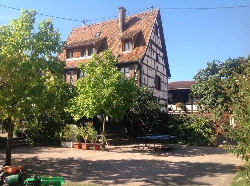 Appartement  Dambach-la-ville