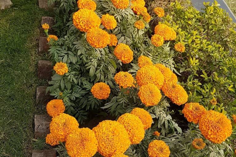 foto10