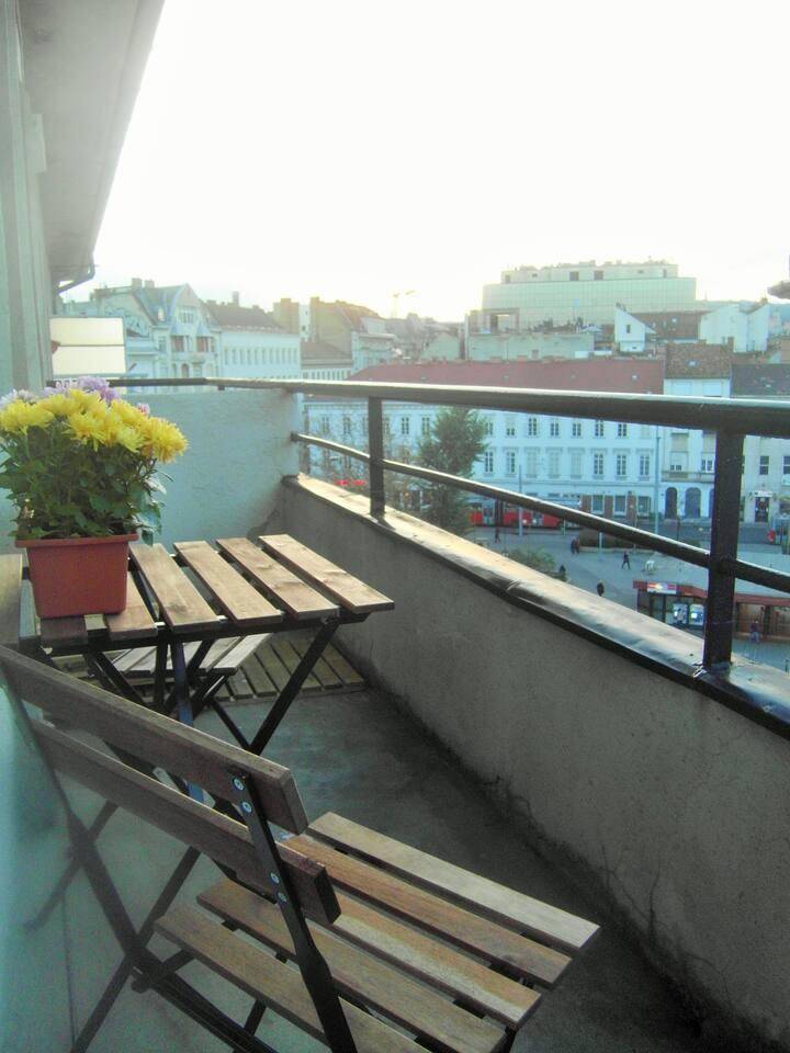 foto19