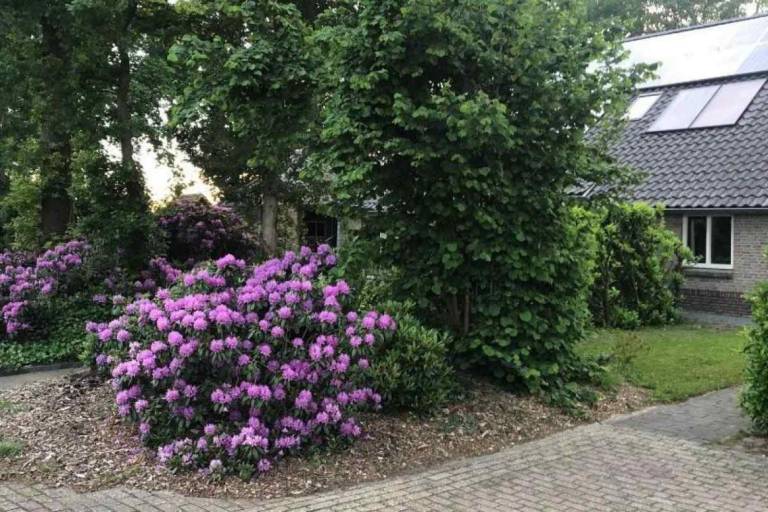 foto12