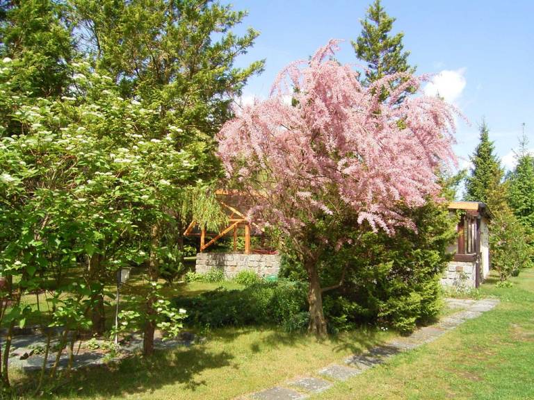 foto31