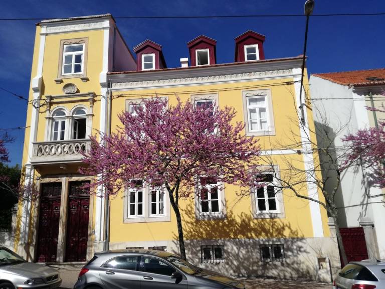 Bed & Breakfast Coimbra