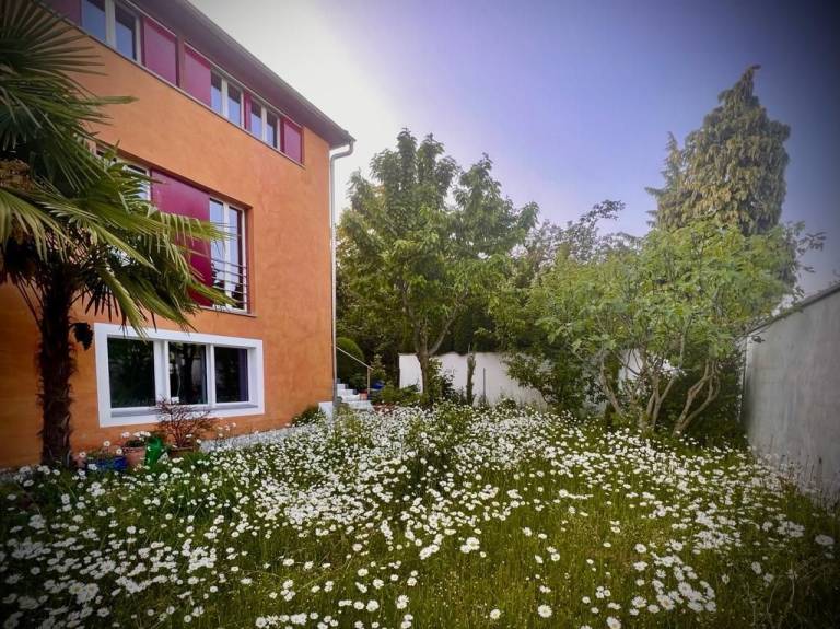 Appartement Luzern