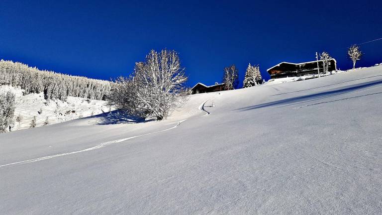 Alpengasthof Pension Rapoldsberg — photo 4