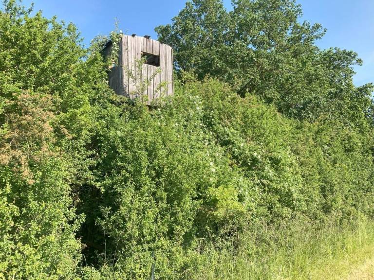House  Wustrow