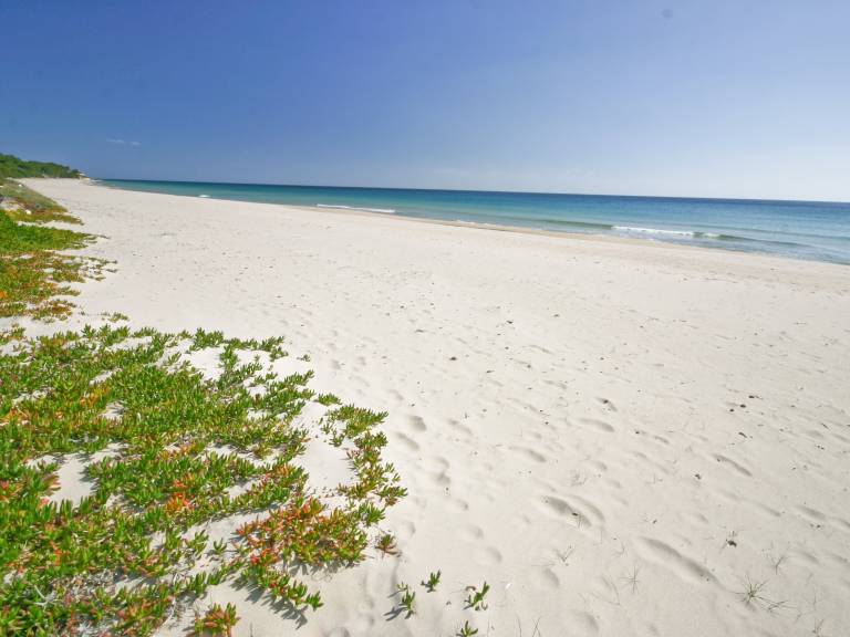 Villa Fernando: Private Garden with Direct Beach Access — photo 2