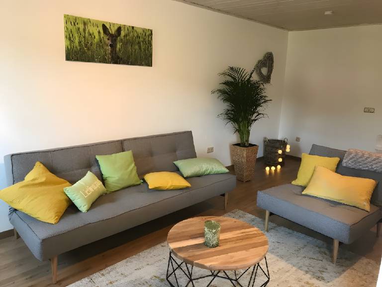 Children-friendly vacation home with fast internet | River view | Pets allowed — photo 3