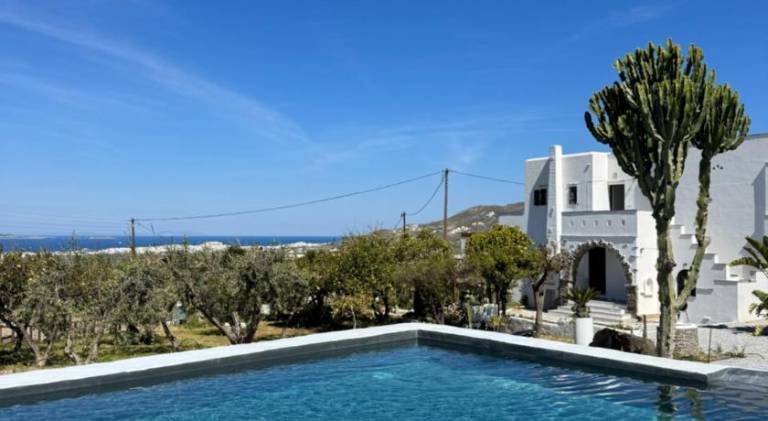 House with patio, pool & yard | Pets allowed in Naxos