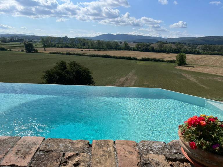 Farm with yard, pool & barbeque — photo 3