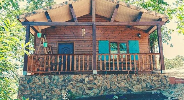 Vacation home with pool | Perfect for remote work | Pets are welcome — photo 4