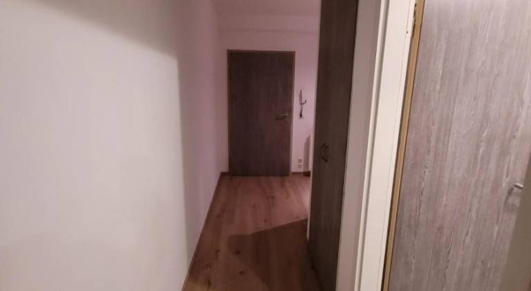 Beautiful rental apartment | Dogs allowed — photo 3