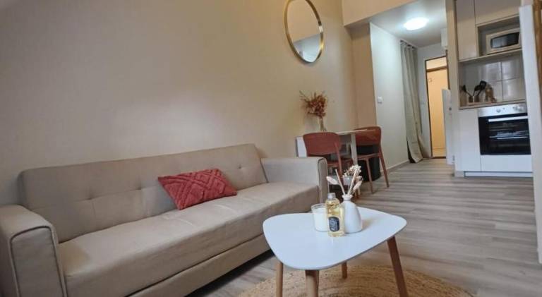 Nice apartment | Pets allowed in Dijon