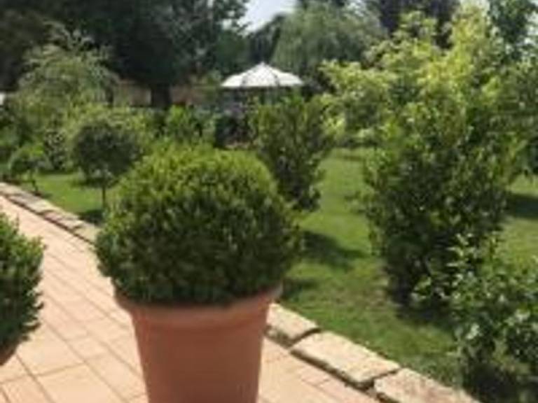 foto12