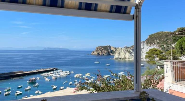 Rental apartment | Pets are welcome in Ponza